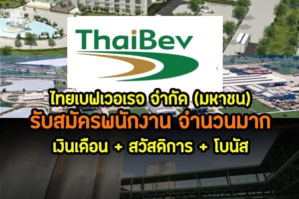 สมัครงาน ไทยเบฟเวอเรจ จำกัด (มหาชน) รับสมัครพนักงานจำนวนมาก หลายอัตรา เช็กตำแหน่งว่างที่นี่