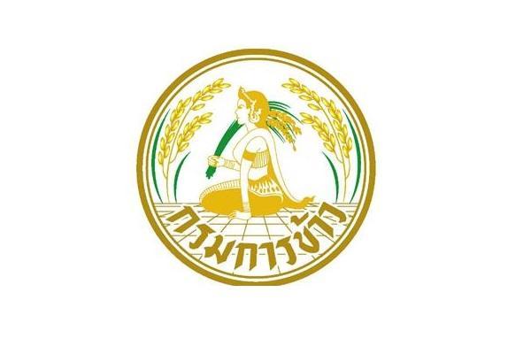 กรมการข้าว เปิดรับสมัครบุคคลเพื่อเลือกสรรเป็นพนักงานราชการทั่วไป 17 อัตรา ตั้งแต่วันที่ 21 - 29 ตุลาคม 2568